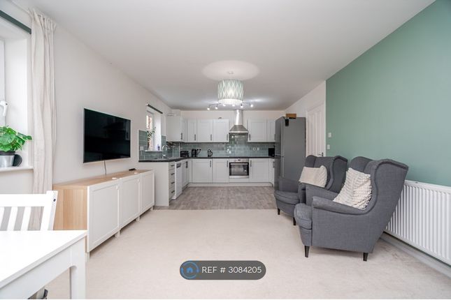 Newton Leys Bletchley, Milton Keynes photo 3