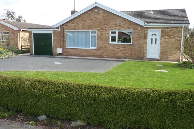 Thumbnail Bungalow to rent in Ash Grove View, Bodenham, Herefordshire