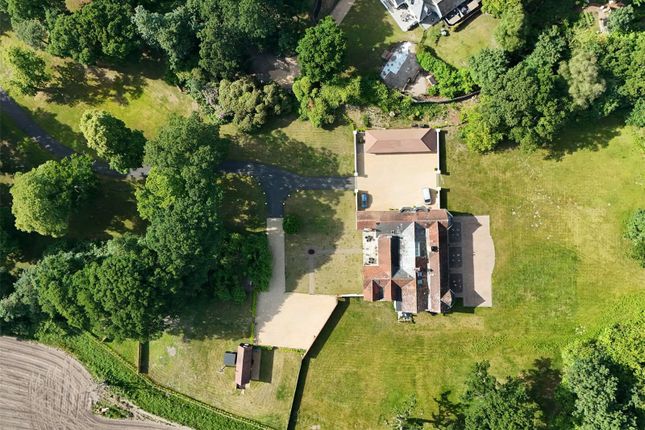Drone View