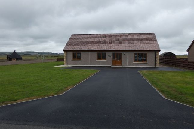 Thumbnail Detached bungalow for sale in The Meadows, Church Street, Halkirk