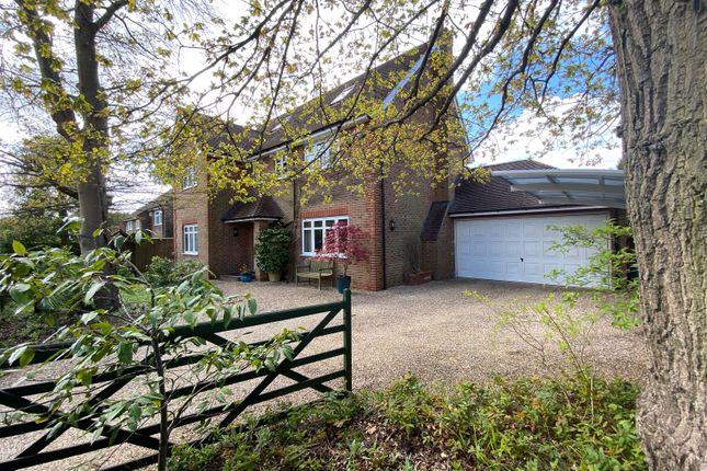 Thumbnail Detached house for sale in Blackmoor Wood, Ascot, Berkshire