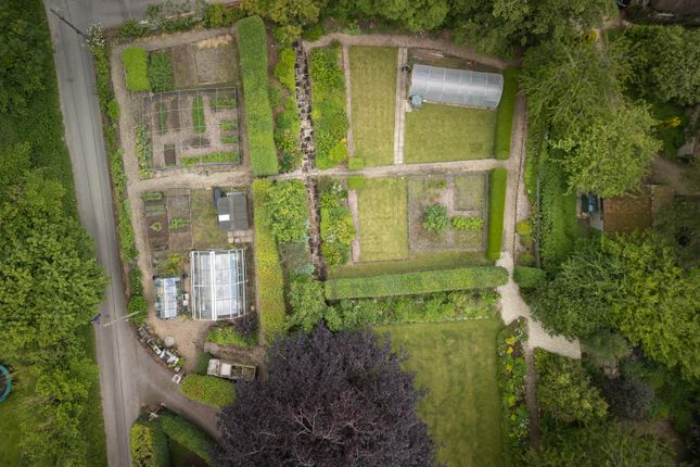 Vegetable Garden