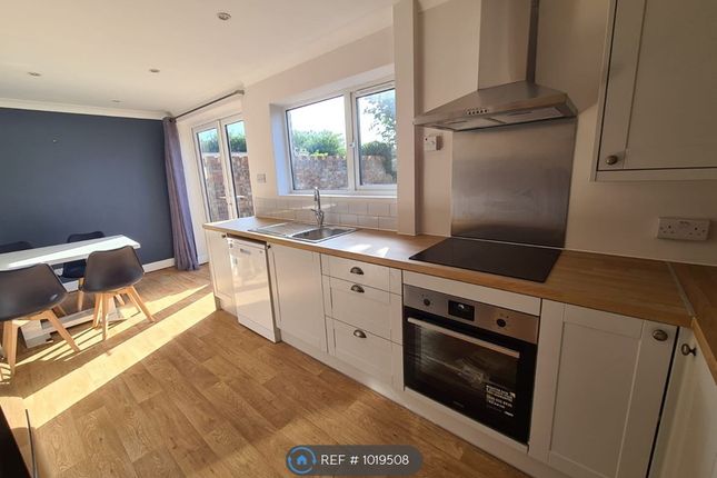 Thumbnail Semi-detached house to rent in Spruce Avenue, Colchester