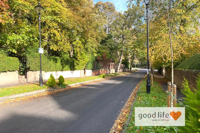 3D, Thornhill Park, Sunderland photo 3