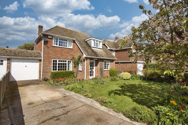 Thumbnail Detached house for sale in The Street, Martin