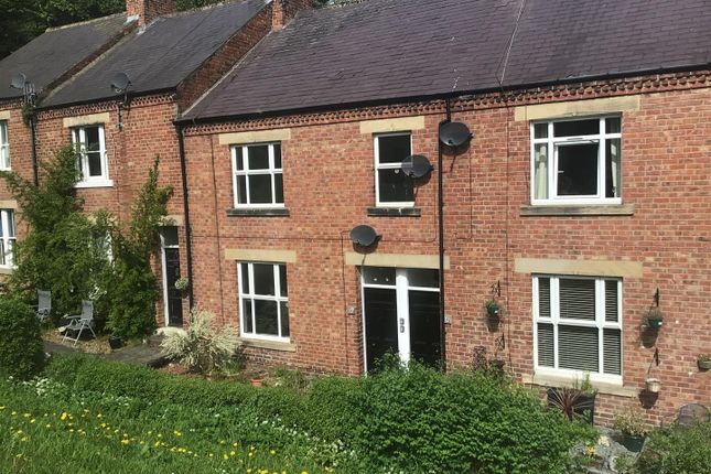Thumbnail Flat to rent in Auburn Place, Morpeth