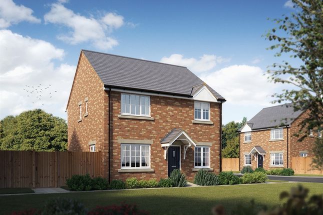 5 Bedroom Detached House For Sale In Edinburgh Mid Lothian Eh17 8sf Plot 114
