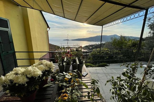 Thumbnail Villa for sale in Liguria, Genova, Zoagli