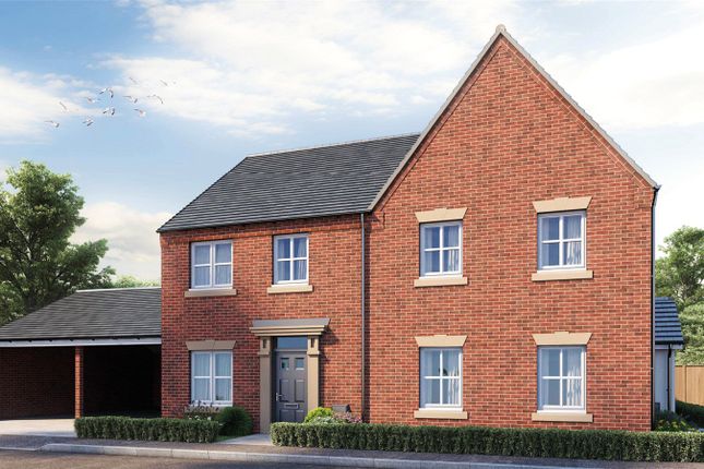 Disley Cgi