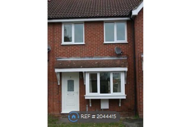 Thumbnail Terraced house to rent in Hunters Ridge, Colchester