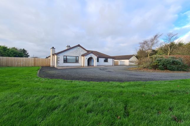 Thumbnail Bungalow for sale in Templepatrick Road, Doagh, Ballyclare, County Antrim