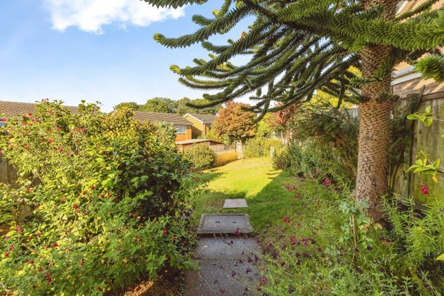 5, Pine Grove, Wrexham photo 4