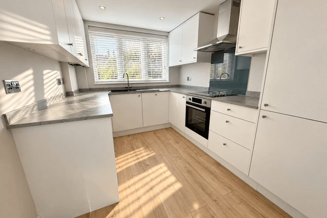 17, Bouverie Road, Chelmsford photo 4