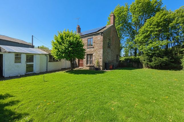 New House Farm, Wernrheolydd, Usk photo 3