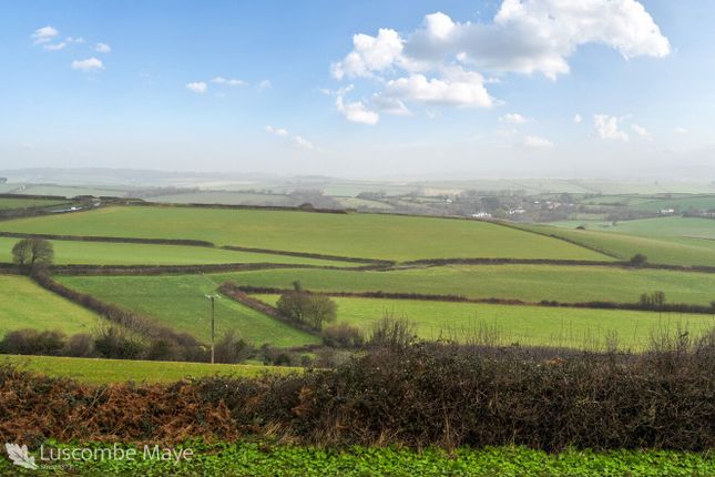 Willow House, Salcombe Road, Malborough photo 3