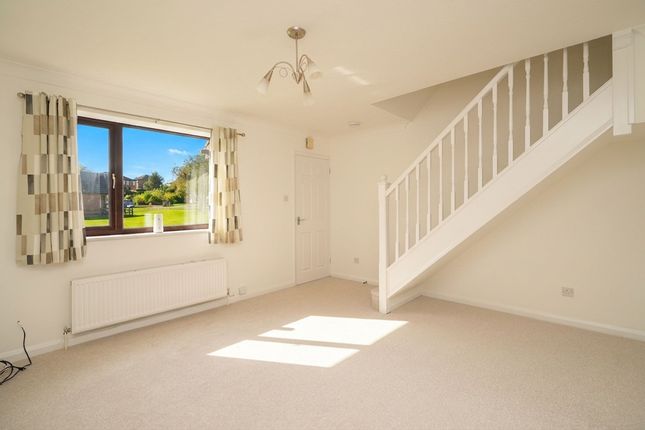 15 Hawthorn Road, Sheffield photo 3