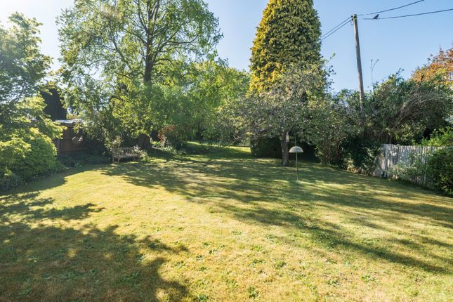 20, Springhill, Godalming photo 4