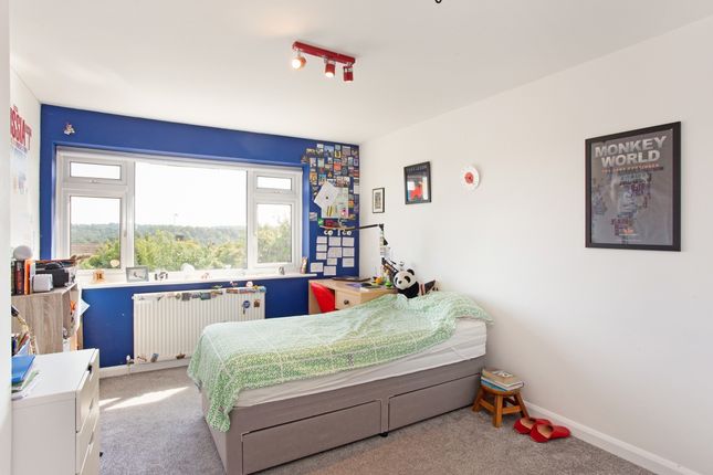 Eastview 319877 -...