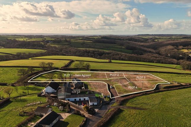 View Over Plots To West