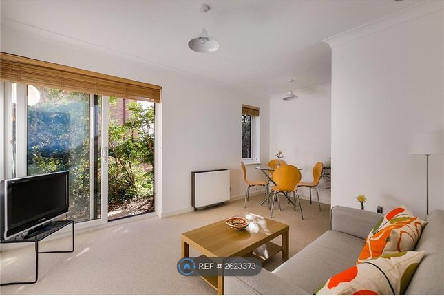 View To Patio From Lounge