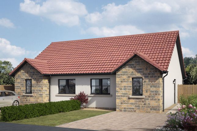 Thumbnail Semi-detached bungalow for sale in The Avenue, Lochgelly