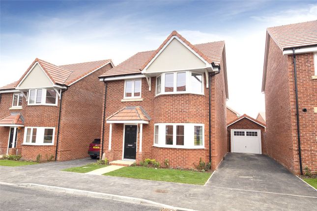 Thumbnail Detached house to rent in Russell Chase, Binfield, Bracknell