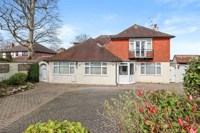 Detached house for sale in Pinewoods, Bexhill-On-Sea