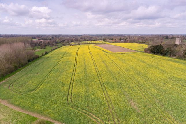 Land for sale in Mattishall Lane, North Tuddenham, Dereham, Norfolk