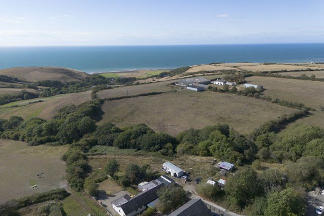 2 Wernllaeth Cottages, Llanon photo 2