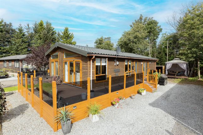 Thumbnail Bungalow for sale in Auchterarder