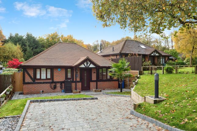 21Oakwarrenoaklanesevenoakstn131Nr-42