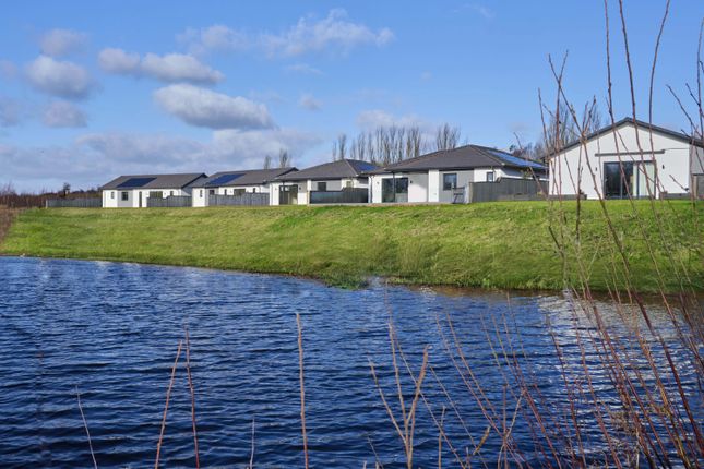 Tirley  Waterfront