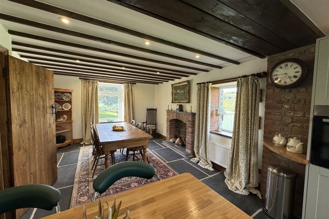 Kitchen / Living Room