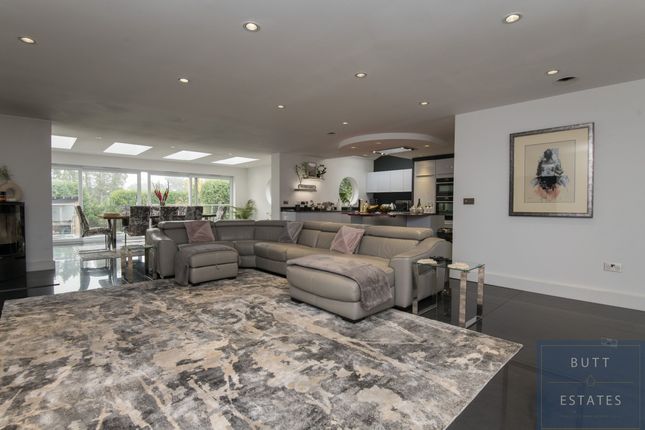 3 Woodland Road, Exeter photo 4