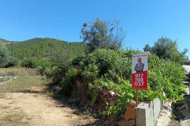 Land for sale in Sarzedas, Castelo Branco (City), Castelo Branco, Central Portugal