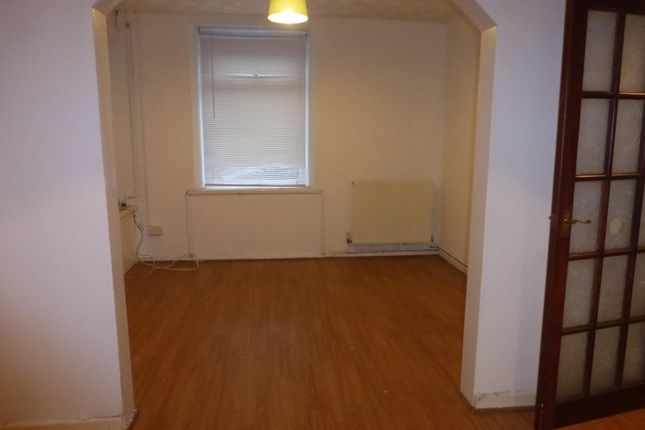 10, MOUNTAIN ASH photo 3