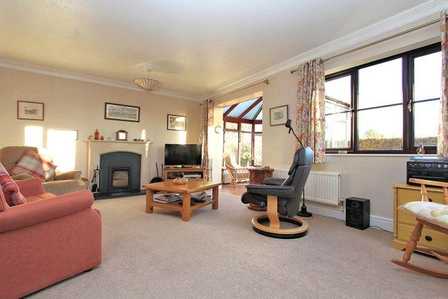 'The Beeches', Old Farm Court, Elberton photo 4
