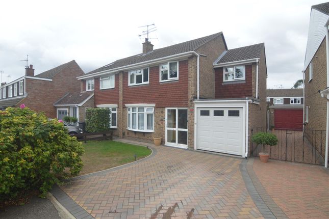 Semi-detached house for sale in Roughtons, Galleywood, Chelmsford