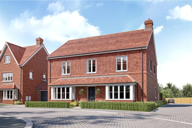 Thumbnail Detached house for sale in The Evergreens, South Road, Wokingham