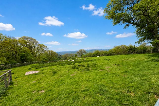 Pyllau Dwr, Bwlchllan, Lampeter photo 3