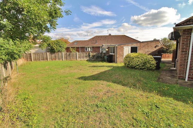 Detached bungalow to rent in Springfield Close, Bedhampton, Havant
