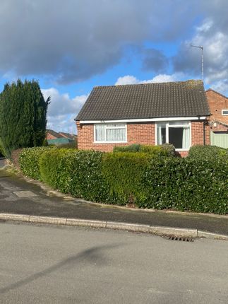 Thumbnail Detached bungalow to rent in Rutland Road, Westwood
