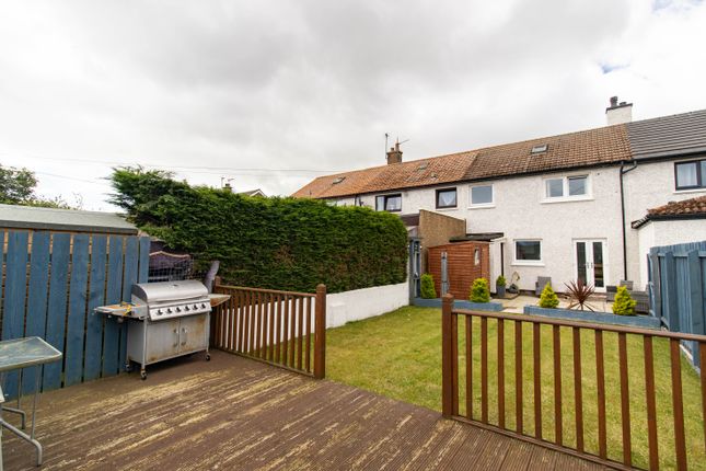 19, Traill Terrace, Montrose photo 4