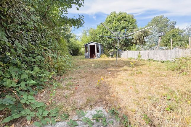 GF, 111, Dorset Road, Bexhill-On-Sea photo 4