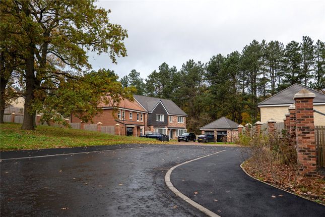 The Langley,, Cottier Grange, Newcastle photo 4