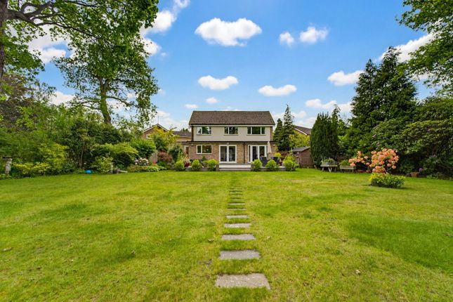 9, Gorselands Close, West Byfleet photo 4