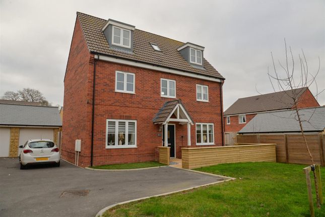 Thumbnail Detached house for sale in Azalea Drive, Bridgwater