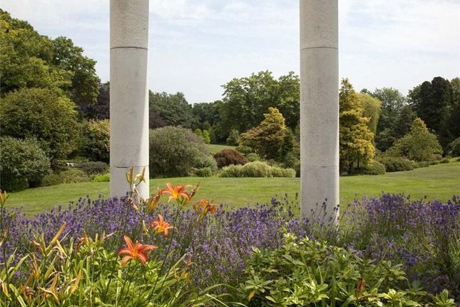 Grounds