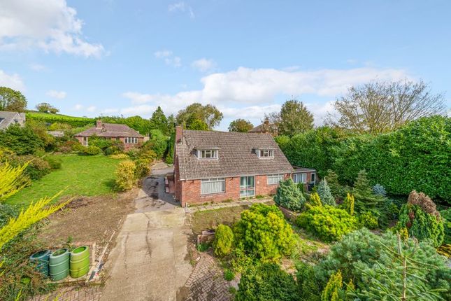 Detached house for sale in Conifers, Winterborne Abbas