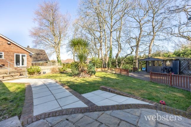 26 Seton Road, Norwich photo 3